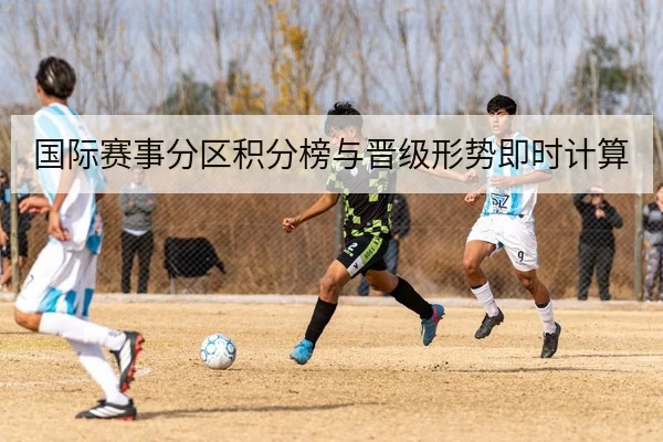 国际赛事分区积分榜与晋级形势即时计算